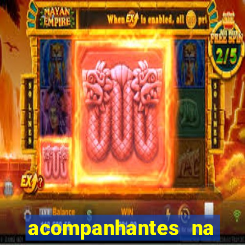 acompanhantes na vila nova cachoeirinha sp
