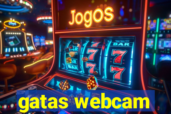 gatas webcam