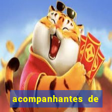 acompanhantes de feira de santana