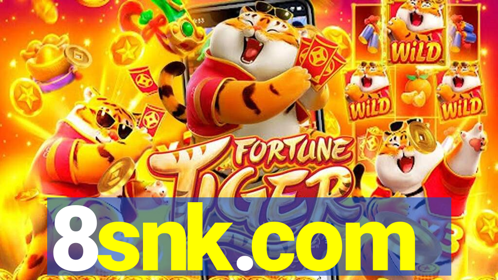 8snk.com