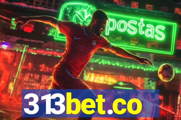 313bet.co