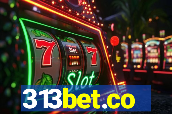 313bet.co