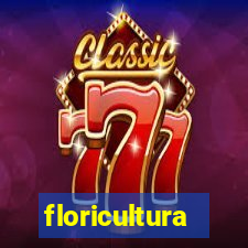 floricultura juazeiro bahia