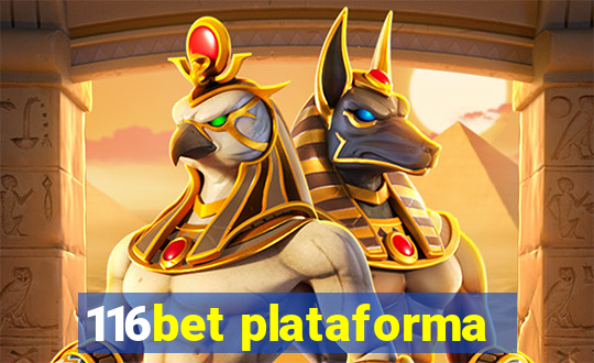 116bet plataforma