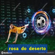 rosa do deserto lilac frost
