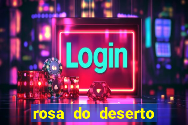 rosa do deserto lilac frost