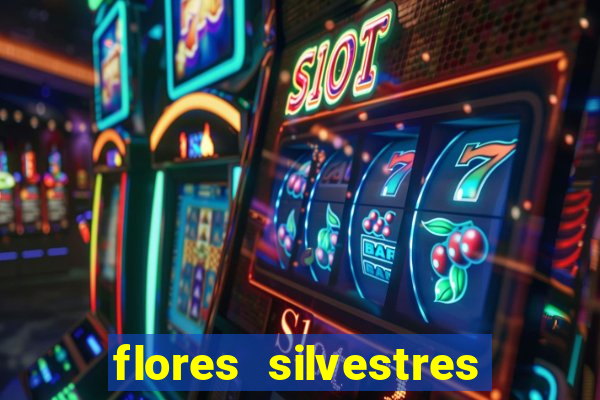 flores silvestres desbravadores desbravadores 25