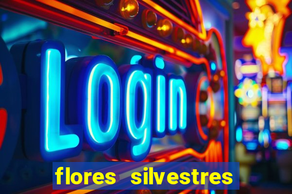flores silvestres desbravadores desbravadores 25