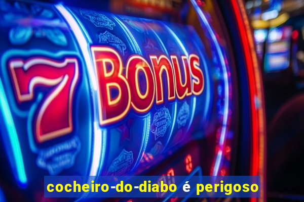 cocheiro-do-diabo é perigoso