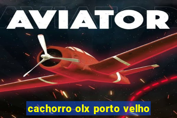 cachorro olx porto velho