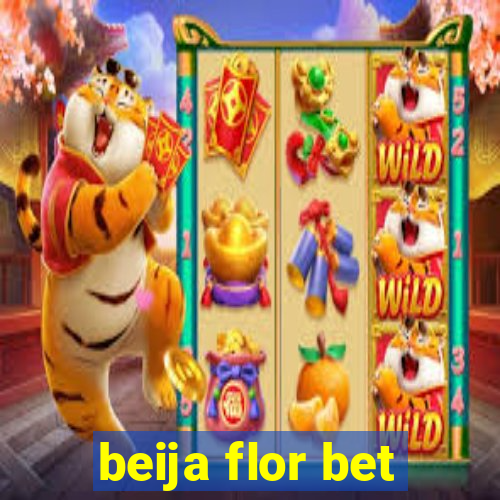 beija flor bet
