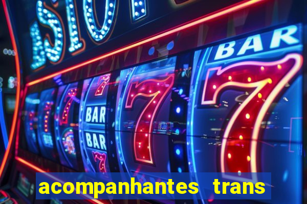 acompanhantes trans baixada fluminense