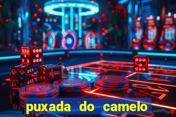 puxada do camelo no jogo do bicho