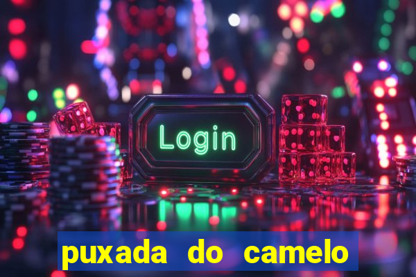 puxada do camelo no jogo do bicho