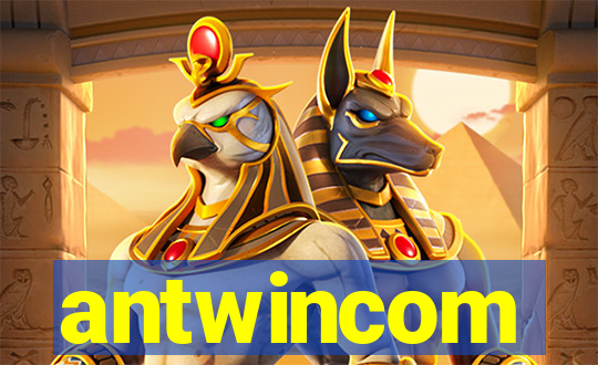 antwincom