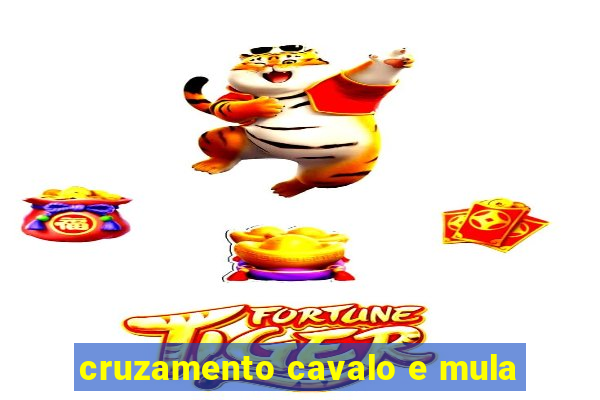 cruzamento cavalo e mula