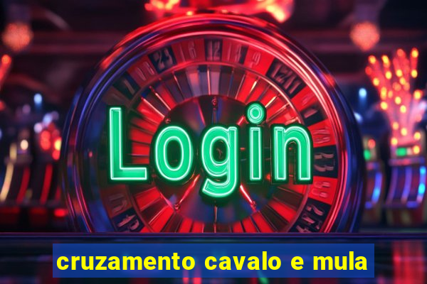 cruzamento cavalo e mula