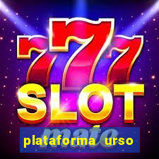 plataforma urso polar 777