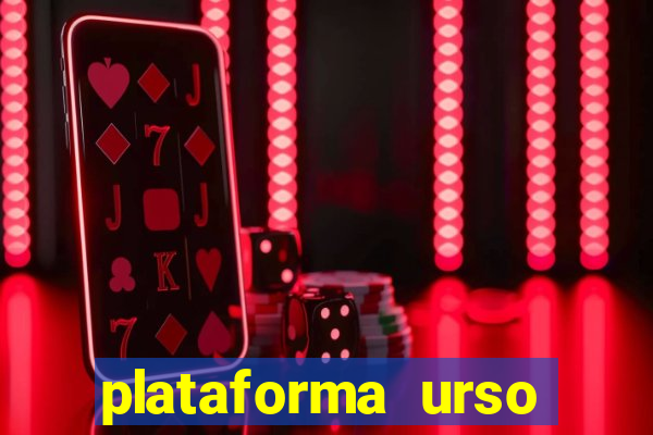 plataforma urso polar 777