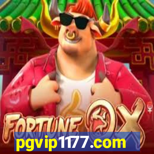 pgvip1177.com