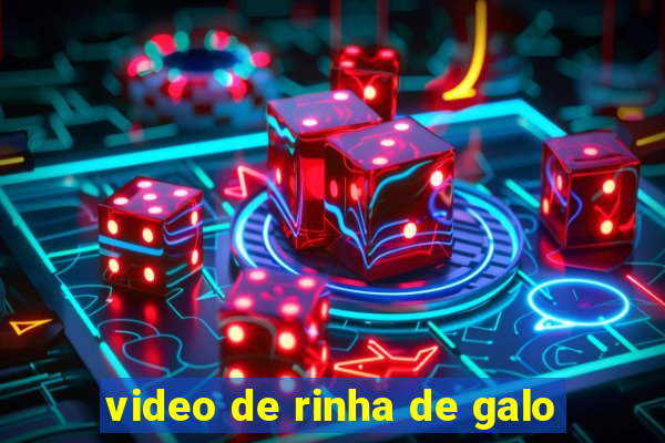 video de rinha de galo