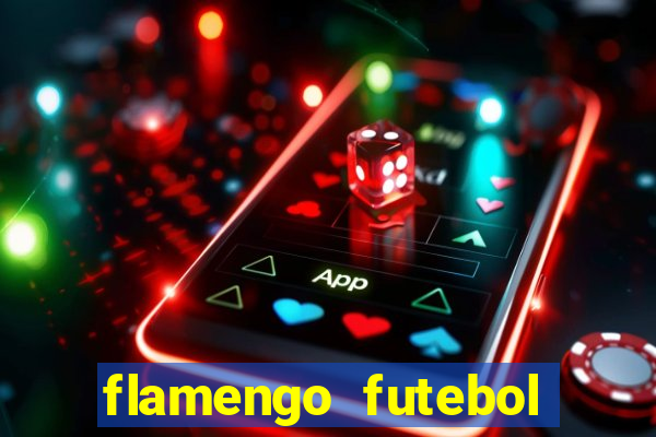 flamengo futebol play hd