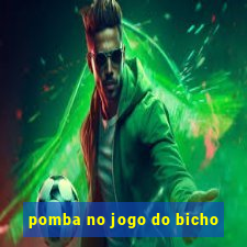 pomba no jogo do bicho