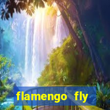 flamengo fly emirates ultimas noticias