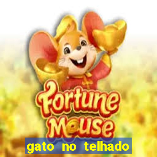 gato no telhado significado espiritual