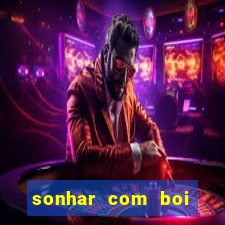 sonhar com boi jogo do bicho