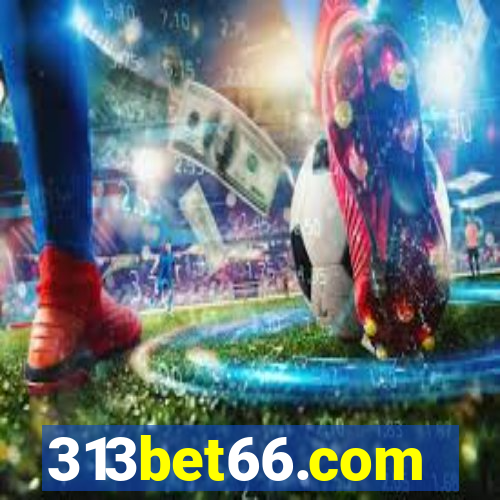 313bet66.com