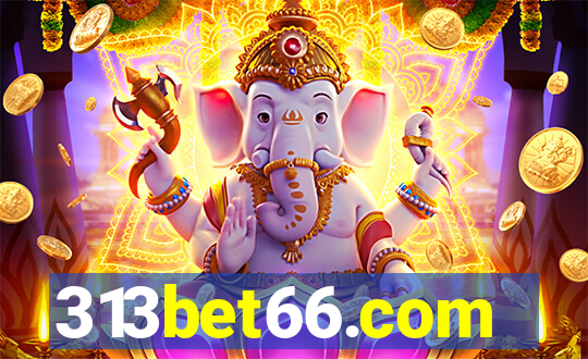 313bet66.com