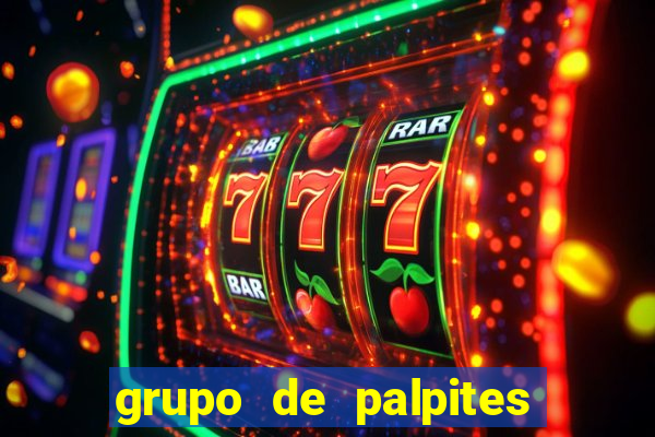grupo de palpites de futebol telegram