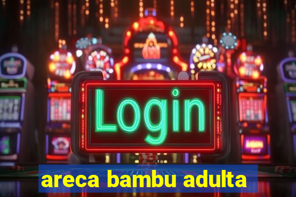 areca bambu adulta