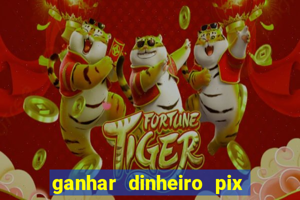 ganhar dinheiro pix de verdade bingo