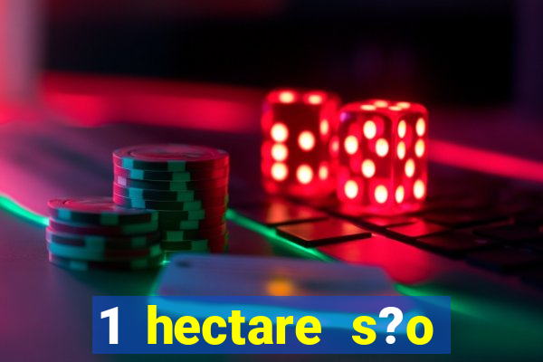 1 hectare s?o quantas tarefas na bahia