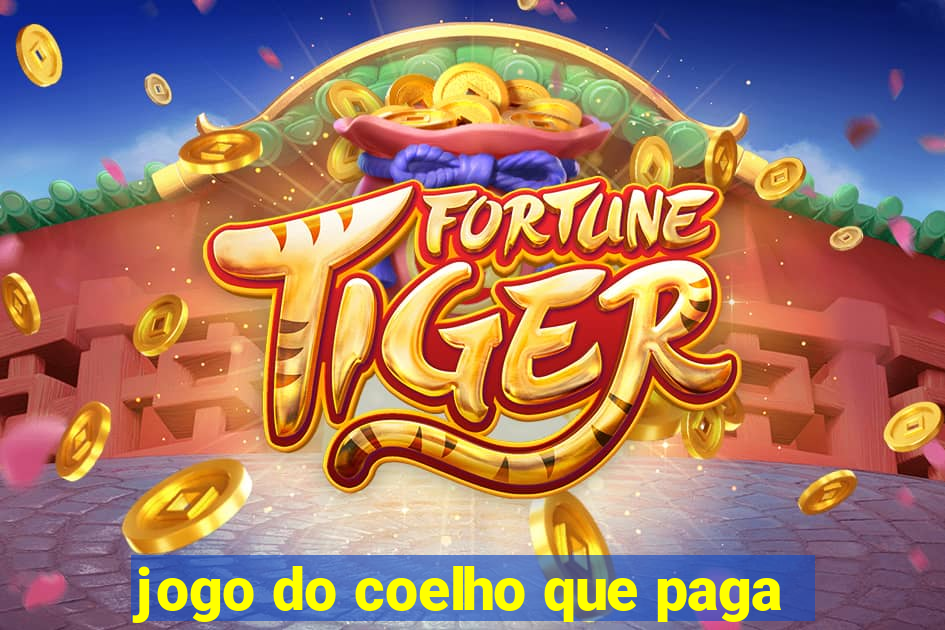 jogo do coelho que paga