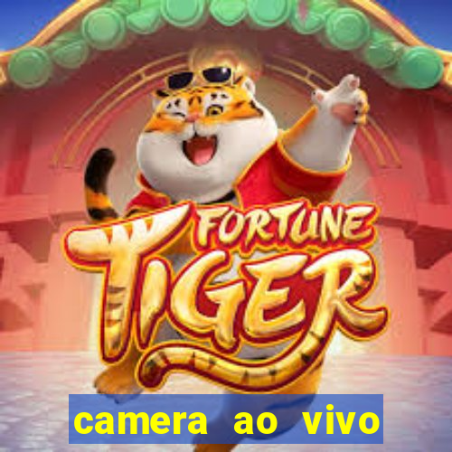 camera ao vivo praia do forte bahia