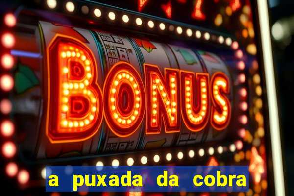 a puxada da cobra no jogo do bicho
