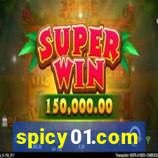 spicy01.com