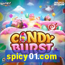 spicy01.com