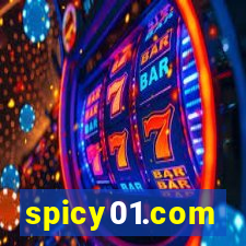 spicy01.com