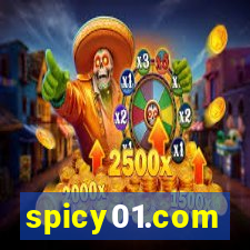spicy01.com
