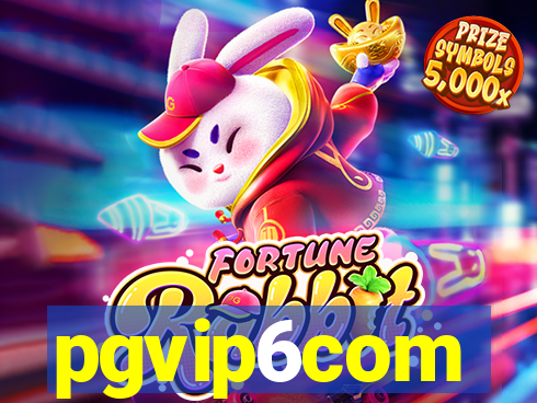 pgvip6com