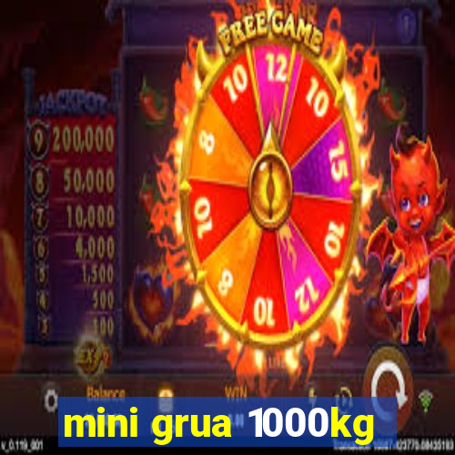 mini grua 1000kg