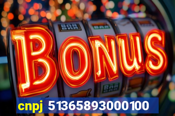 cnpj 51365893000100
