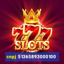 cnpj 51365893000100
