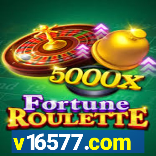 v16577.com