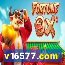 v16577.com