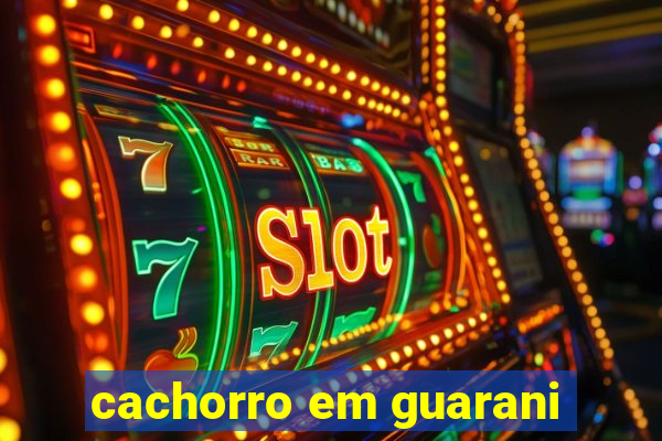 cachorro em guarani